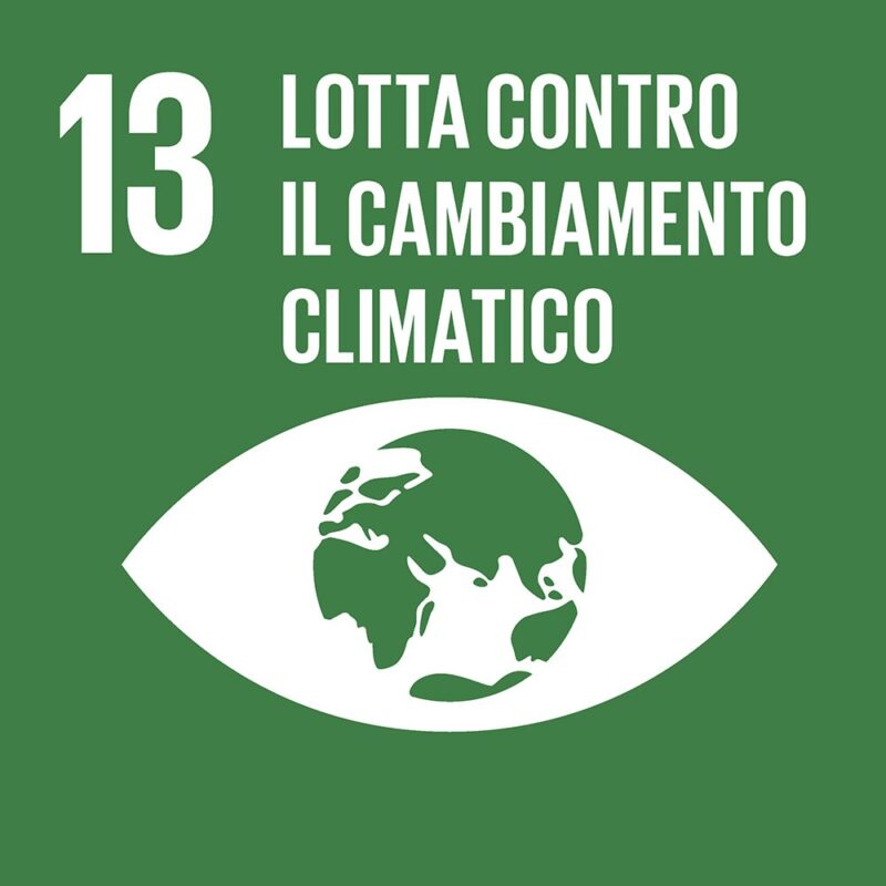 L’Agenda 2030 dell’Onu e l’Obiettivo 13: combattere il cambiamento climatico