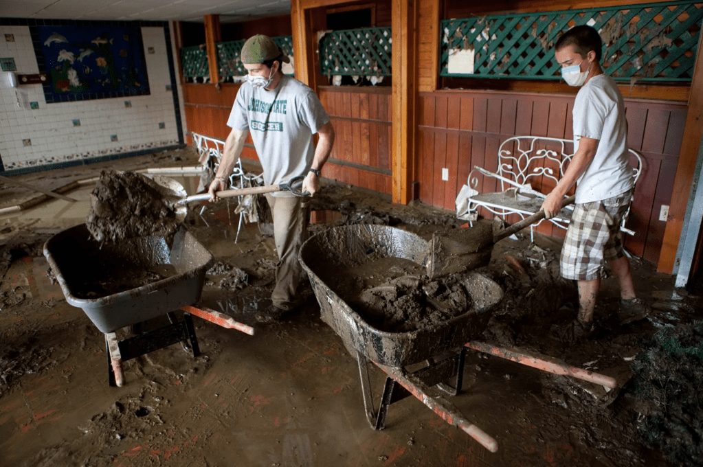 “Dove dovrei vivere?”