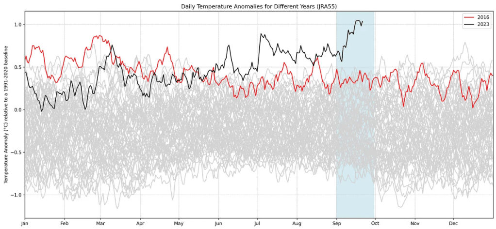 I raggi del&nbsp;sole