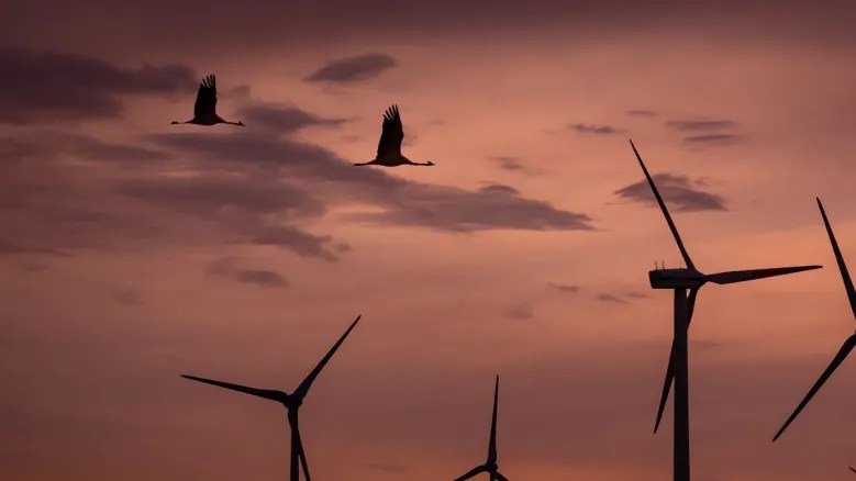 Ignora quella bomba, qualcuno ha acceso un&nbsp;petardo!