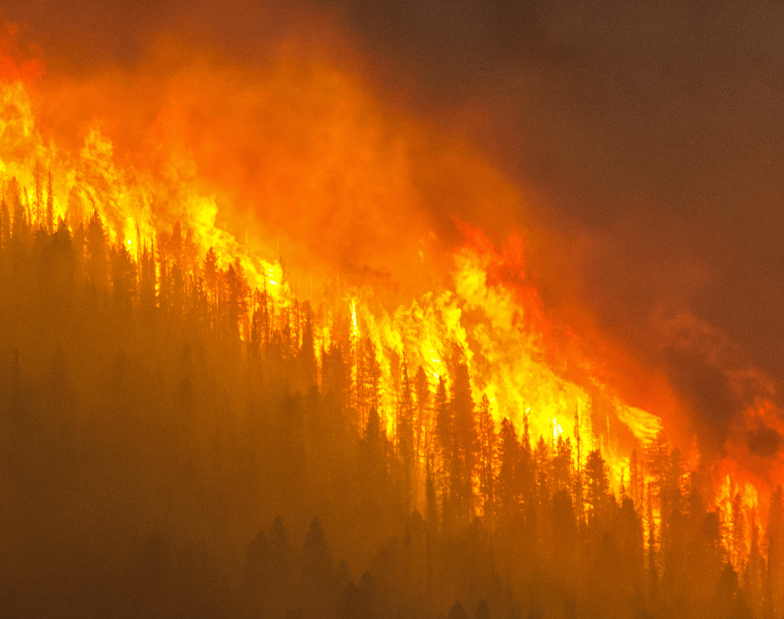 eXport eXport eXport