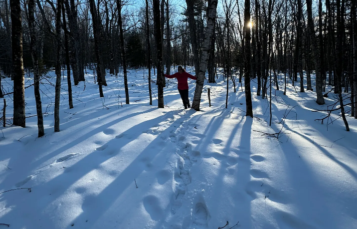 Mentre l’inverno si scioglie
