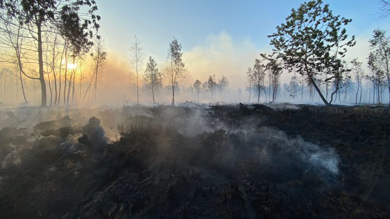 UE, rinviata la legge sul Ripristino della Natura: Italia con i peggiori