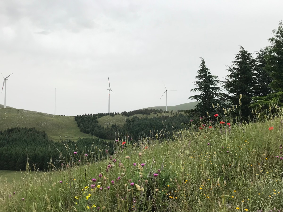 Si alza il&nbsp;Vento