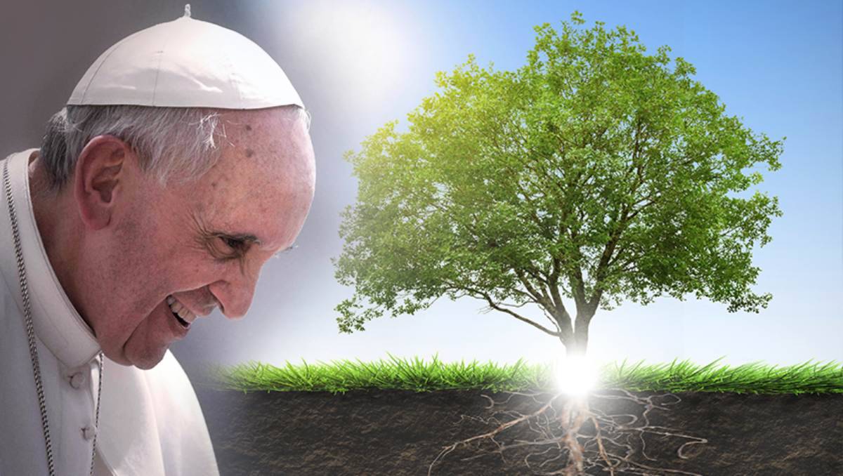 Italia e Vaticano firmano accordo per impianto di energia rinnovabile agrivoltaico