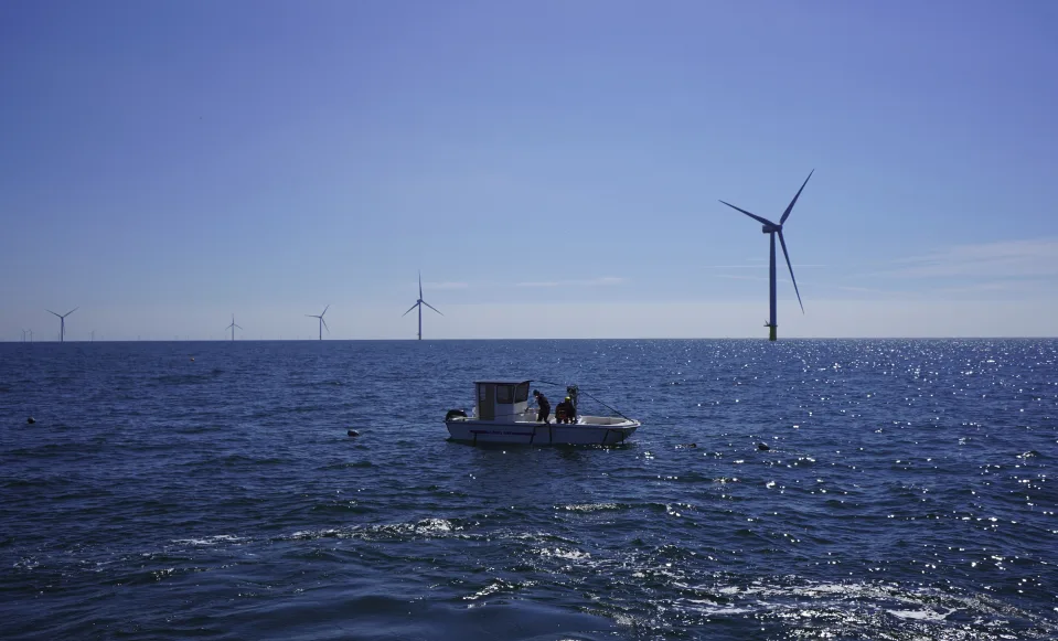 Kriegers Flak, il parco eolico offshore dove si coltivano alghe e frutti di mare sotto le turbine