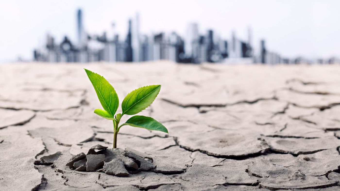 Politiche climatiche: Uno studio del Potsdam Institute dimostra quali funzionano davvero