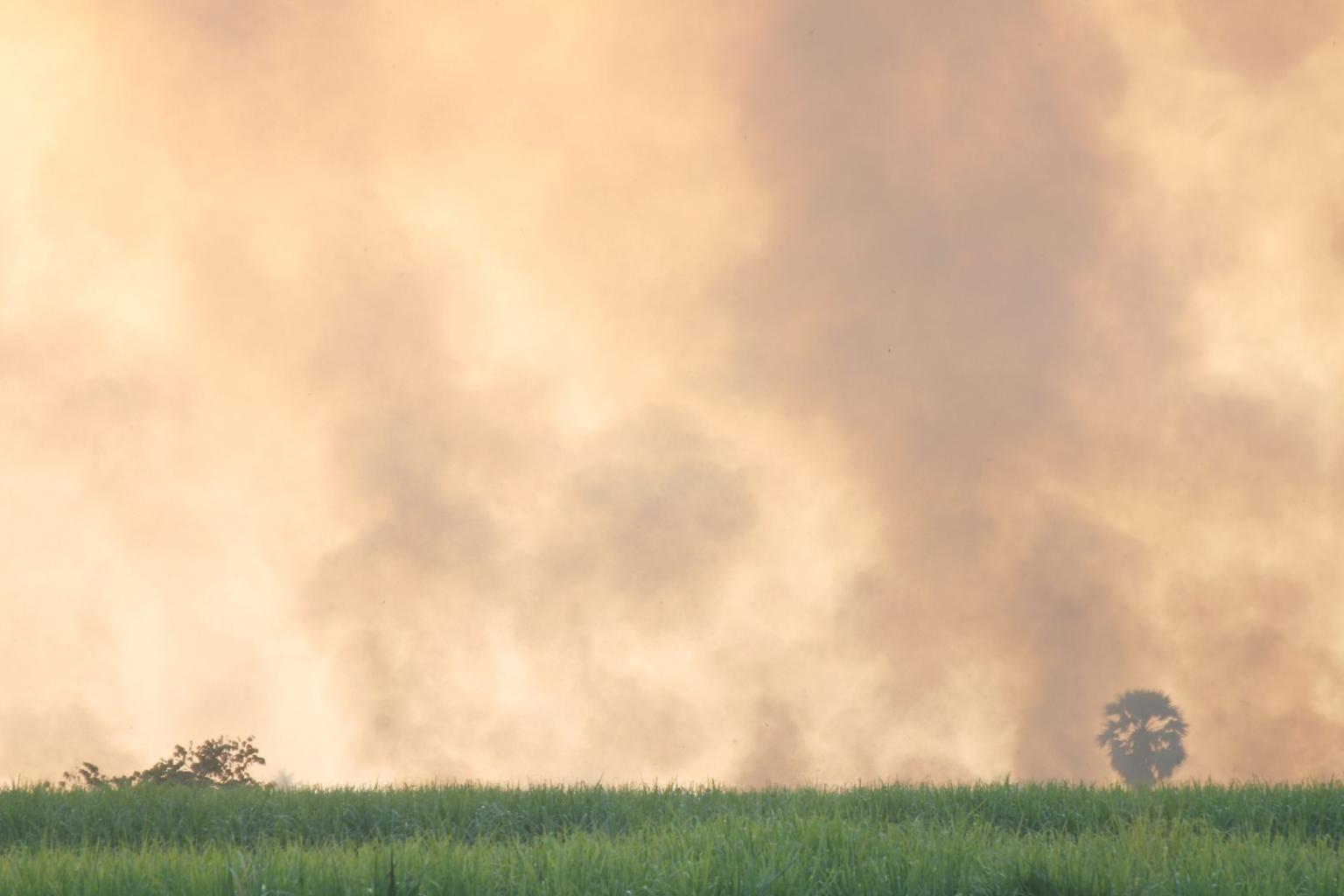 Clima, WMO: i gas serra aumentano e raggiungono un nuovo record nel 2023