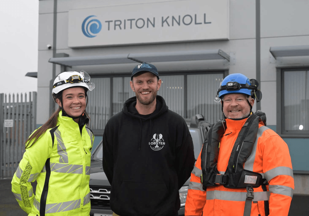 Biodiversità ed eolico offshore: migliaia di aragoste stabilite nel parco di Triton&nbsp;Knoll