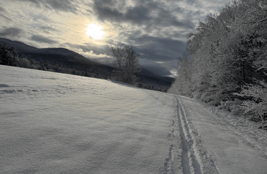 Un brivido si abbatte sulla comunità&nbsp;climatica