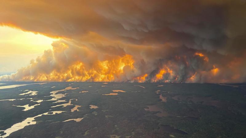Nel frattempo, tornando al mondo reale