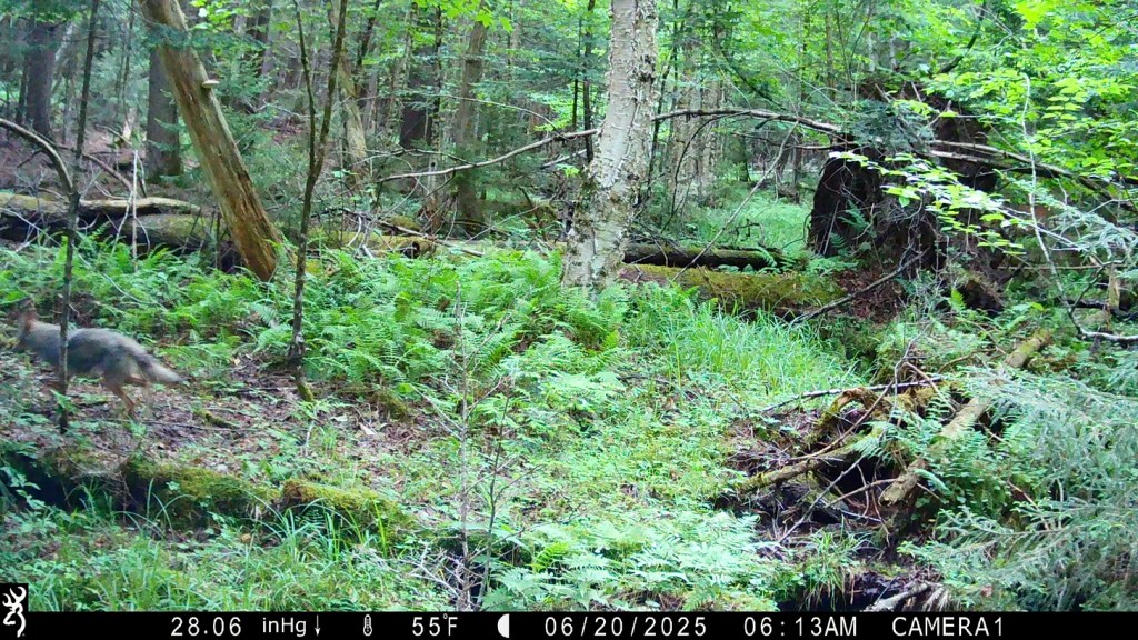 Più che altro per senso del&nbsp;dovere…