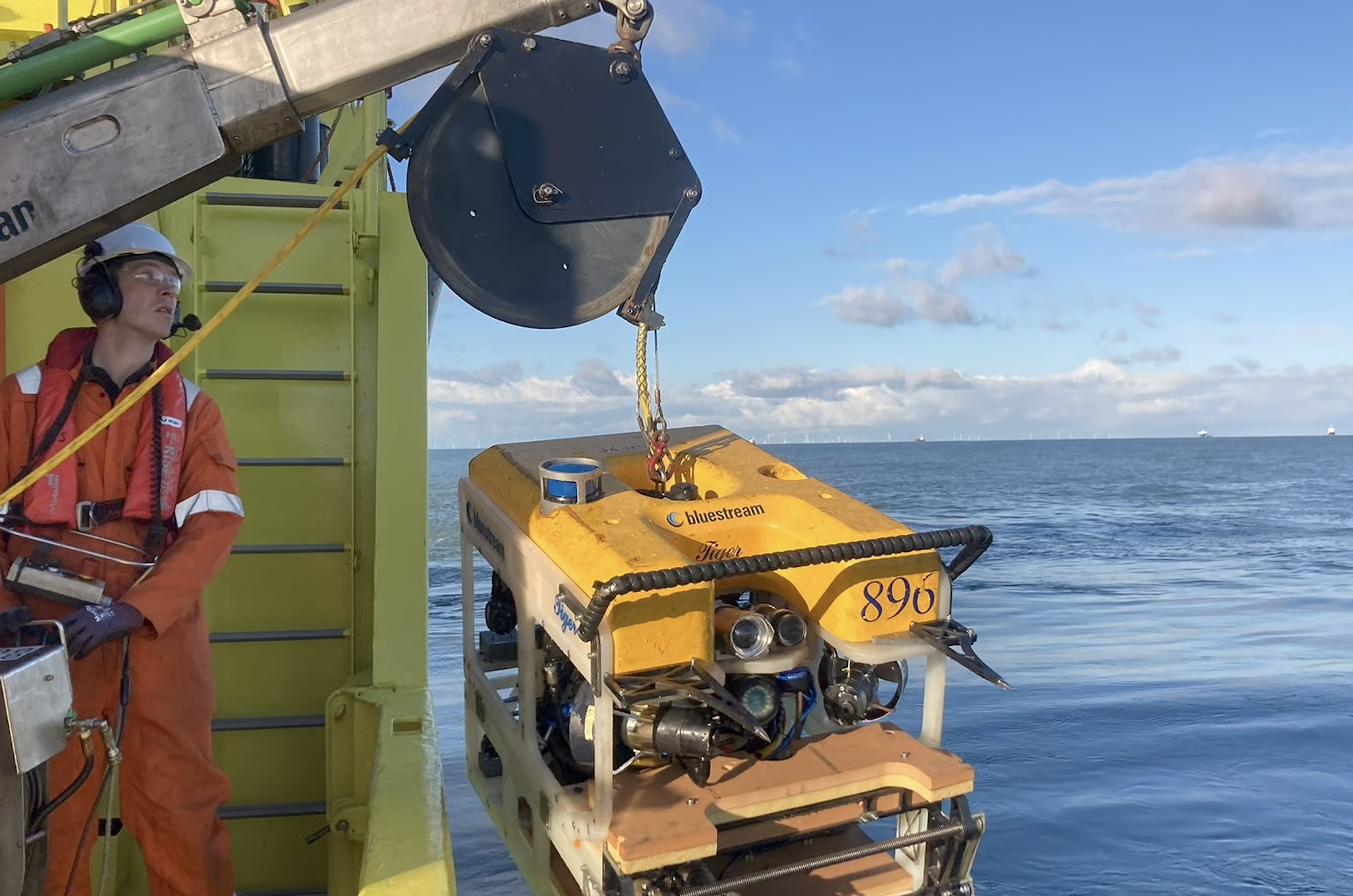 Offshore e biodiversità: Vattenfall per la crescita marina su fondamenta eoliche