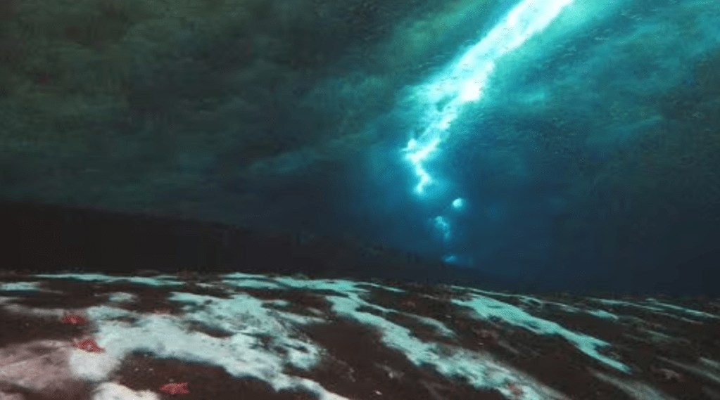 Gli scienziati lanciano l’allarme: nuove perdite di metano nei fondali marini dell’Antartide