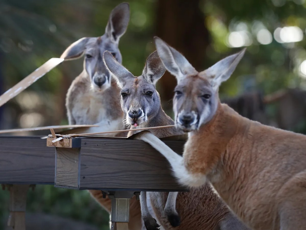 Elettricità gratuita. Insomma, senza costi. Per tutti.&nbsp;Ora.