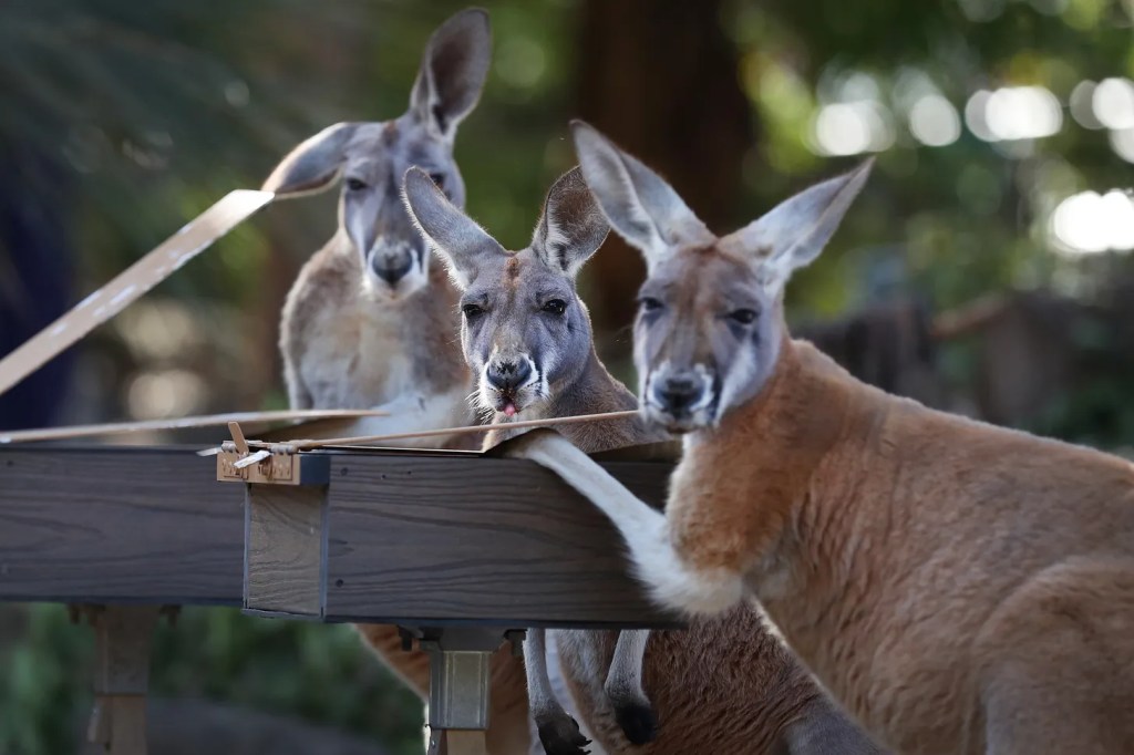 Elettricità gratuita. Insomma, senza costi. Per tutti.&nbsp;Ora.