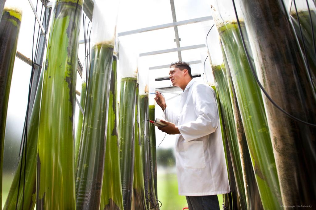 L’UE accelera sulla bioeconomia: un piano per sostituire i&nbsp;fossili
