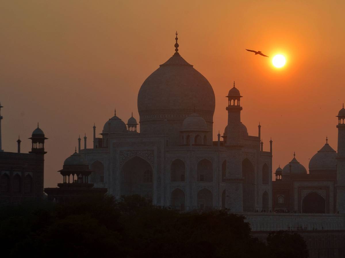 Interrompiamo la follia per una nota dal mondo&nbsp;razionale